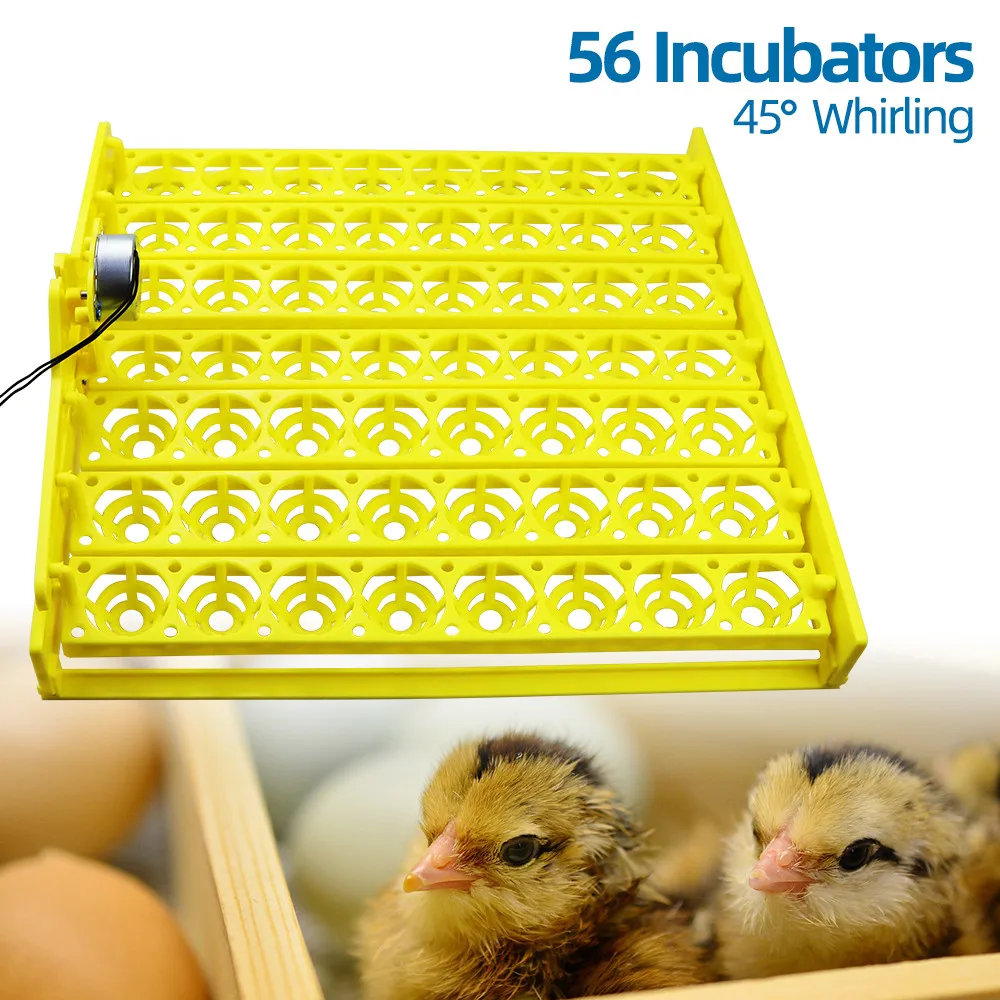 Automatinis Kiaušinių Inkubatorius Talpa 56/154 Antis Vištienos Plastikinių Kiaušinių Dėklas Inkubatorius Padėklai Kiaušinius su Auto Pasukti Variklis 30% nuolaida