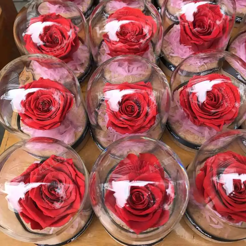 Mini raudona rožė stiklo dangtis,4-5cm amžinąjį gėlių galvos, hermetiškas,H8.5cm,Valentino Dienos dovana,darbastalio apdaila,mažų dovanų didmeninės