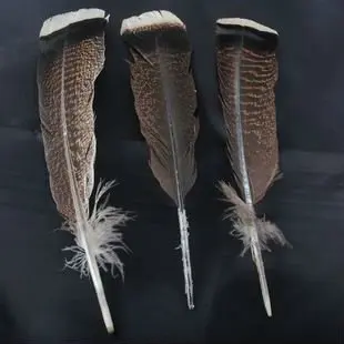 10vnt/daug!10-12inches 25-30cm Natūralių Laukinių Kalakutų plunksnų uodegos plunksna išsitepti prekių ping
