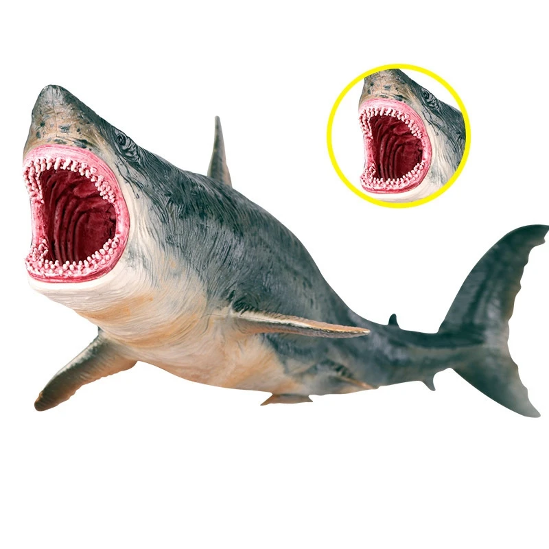 Vandenyno Jūros Gyvenimo Gyvūnų Dantų Ryklys Gyvūnų Modelį Pvc Figūrėlės Povandeninį Pasaulį Imitavimo Modeliai Žaislai