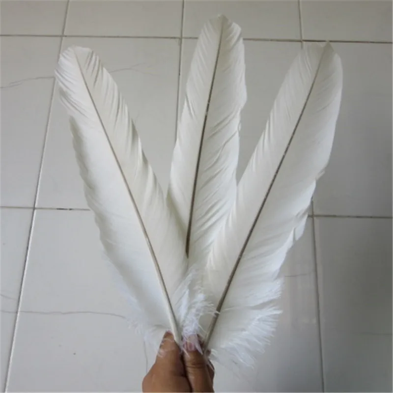 Didmeninė 60 vnt (1 komplektas) retas baltasis erelis Uodegos plunksnos ilgis 40-45 cm / 16-18 colių 