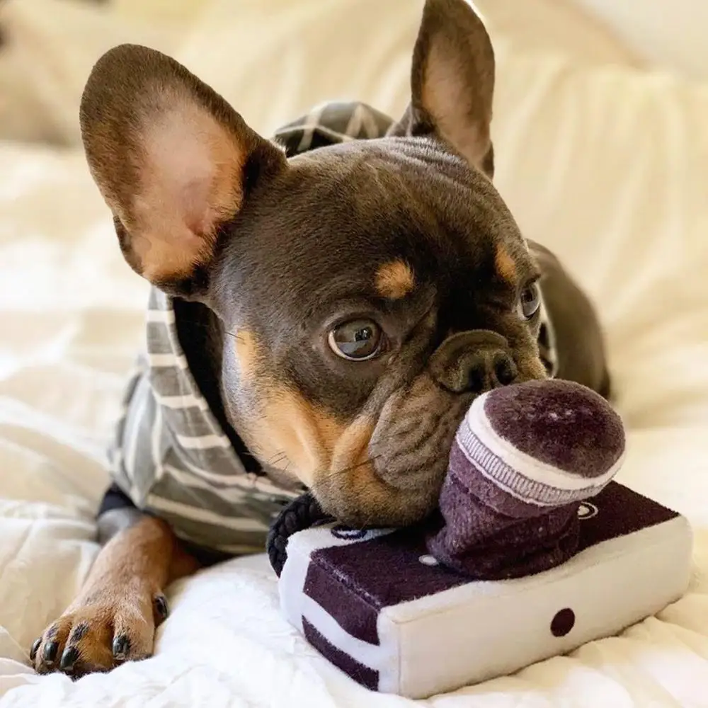In hot dog kamera, foto prekėms, pliušinis žaislas mielas pet garso žaislas augintiniui BB vadinamas žaislas šuo foto modelis žaislas