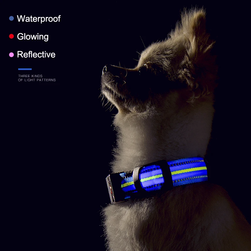 Vandeniui LED Šunų Antkaklis Originalus Magnetinis Įkrovimo Žėrintis Už Apykaklės Veda LED Pet Produktų Anti-Lost Šunys, Šuniukai, Šunų Antkakliai