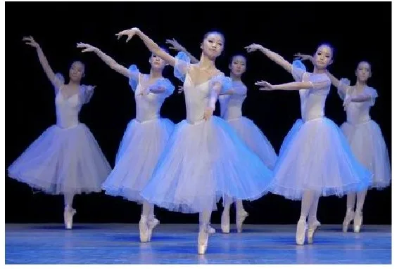 Naujas TUTU baleto suknelė suaugusiųjų baleto teatro baltoji gulbė pasakų baleto kostiumai
