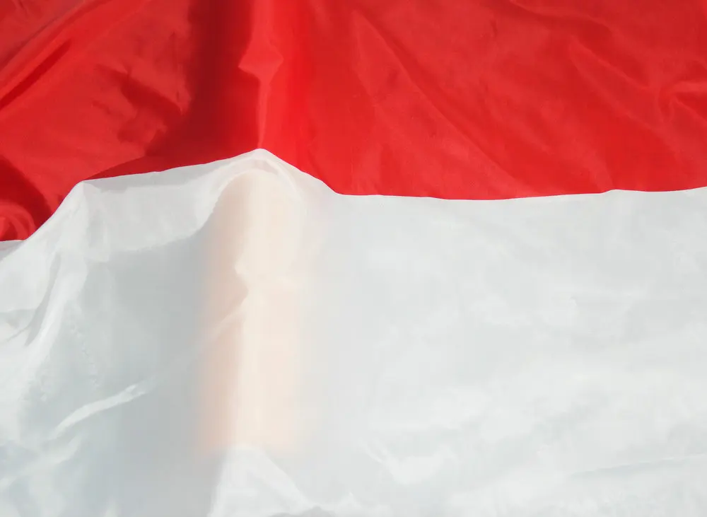 Indonezijos vėliava Indoor Outdoor 3*5FT/90*150cm Indonezijos Vėliava Azijos Respublika Reklama Šalį Vimpelas Indo Festivalis/Namų Dekoravimas