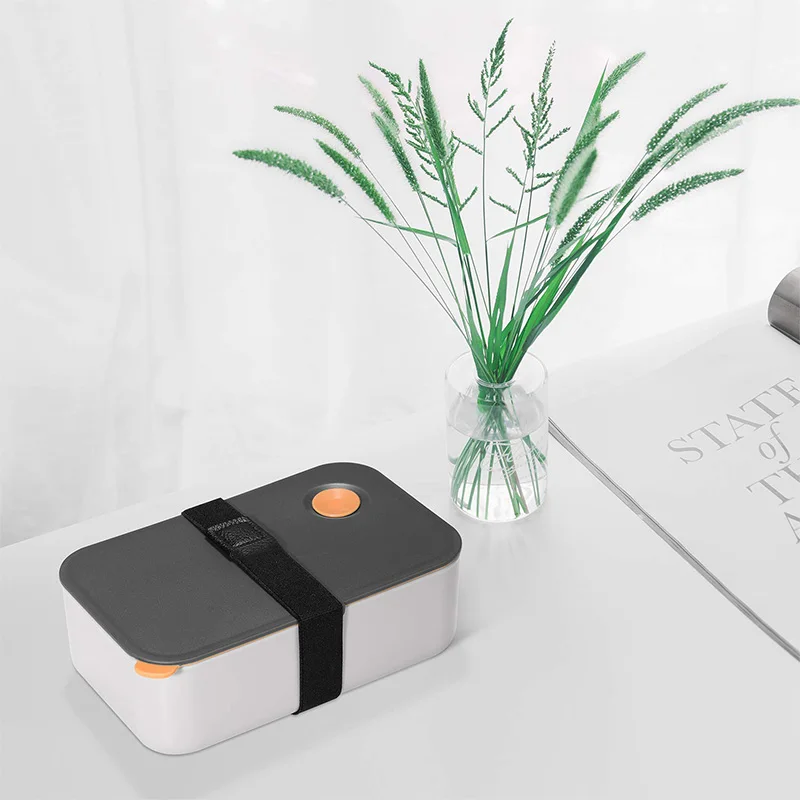 Priešpiečių Dėžutė 1000ML su 2 Kamerų, Ekologinio Draugiškas BPA Free Bento Dėžutė, Sandarūs Maisto Lauke, Mikrobangų & plauti Indaplovėje (Orange)