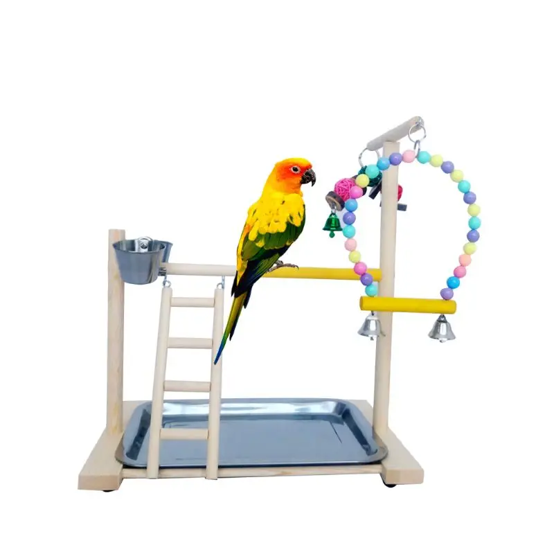 Medinis Paukštis Ešerys Stovi Papuga Platformos Aikštelė Interaktyvūs Žaislai Narve Dekoras
