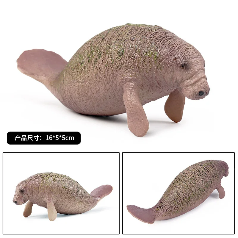 Manatee Gyvūnų Modelio Veiksmų Skaičius, Jūros Gyvūnų figūrėlių Kolekcija PVC Vaikų Pažinimo Žaislai