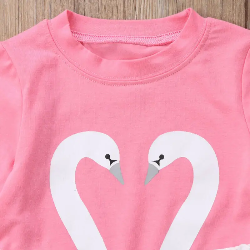 Bamblys Vaikams Baby Girl Komplektus Drabužių Swan T-shirt Viršūnes+Ilgas Kelnes 2VNT Nustatyti Animacinių filmų Žąsų drabužių rinkinys
