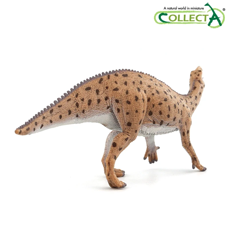Collecta 2020 Naujas 1:40 Fukuisaurus Dinozaurai Modelis Dino Žaislas Klasikinis Žaislai Berniukams, Vaikų 88871