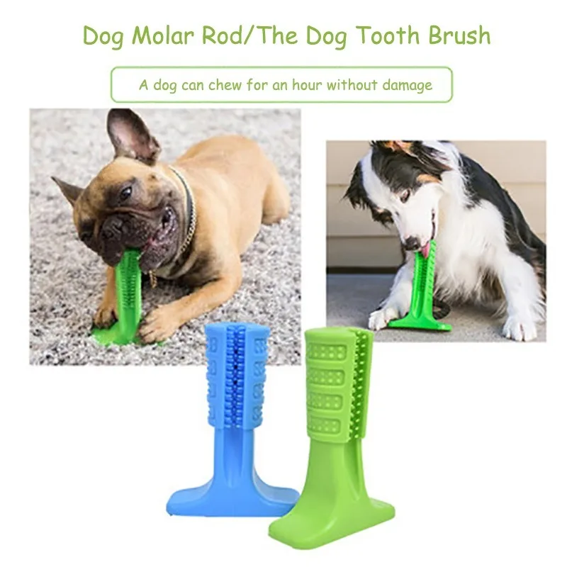 Šunų dantų šepetėlį pet žaislas šunelis kramtyti žaislas pliušinis šuo mažas dantų šepetėlis dantų priežiūros reikmenys, valymo reikmenys žodžiu Šunų Šepetys