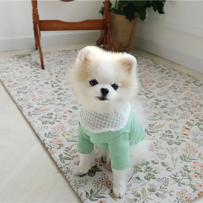 Nėrinių apykaklę pet megzti dugno marškinėliai vasaros plonas Meškiukas Xiong Bomei katė VIP veislės kalytę šuo mažų šunų drabužius