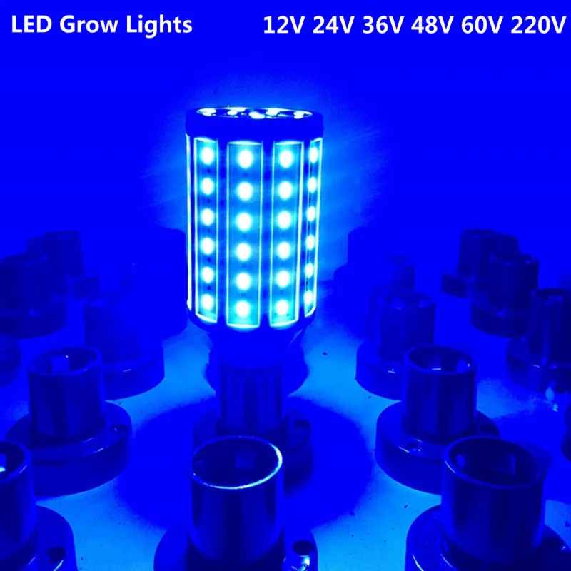 LED Grow Light Raudona Mėlyna Žalia Kukurūzų Lemputė E27 B22 lemputė AC 110V, 220V, DC12V 24V 36V 48V 60V SMD 5730 Auginimo Lempos efektą Sukeliančių
