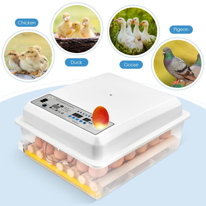 36 Kiaušiniai Inkubatoriaus Automatinis Inkubatorius Mašina, Skaitmeninis Displėjus, Drėgmės Kontrolė Paukščių Brooder Termostatas Veisimo Skrybėlę Vištų Kiaušiniai