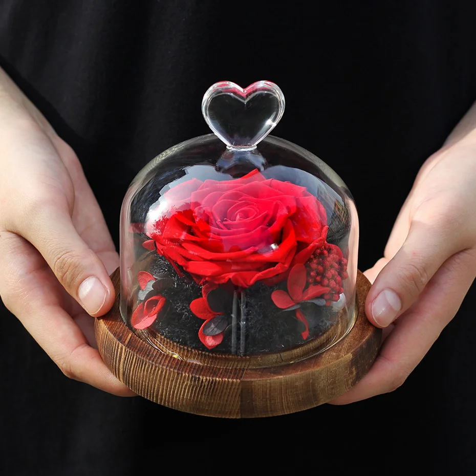 Raudona Rožė Stiklo Kupolas Grožio ir Žvėrys Nekilnojamojo Nemirtingas Gėlių Išskirtinę Rožių LED Lempos, Valentino Dienos, Kalėdų, Gimtadienio Dovana