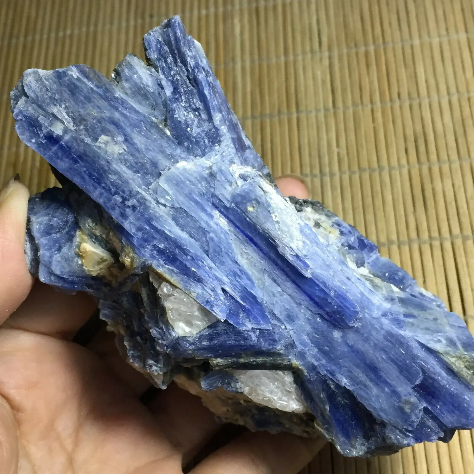 Retas Mėlyna Kristalų Gamtos Kianitas Grubus Gem stone mineralinis Pavyzdys Gydymo