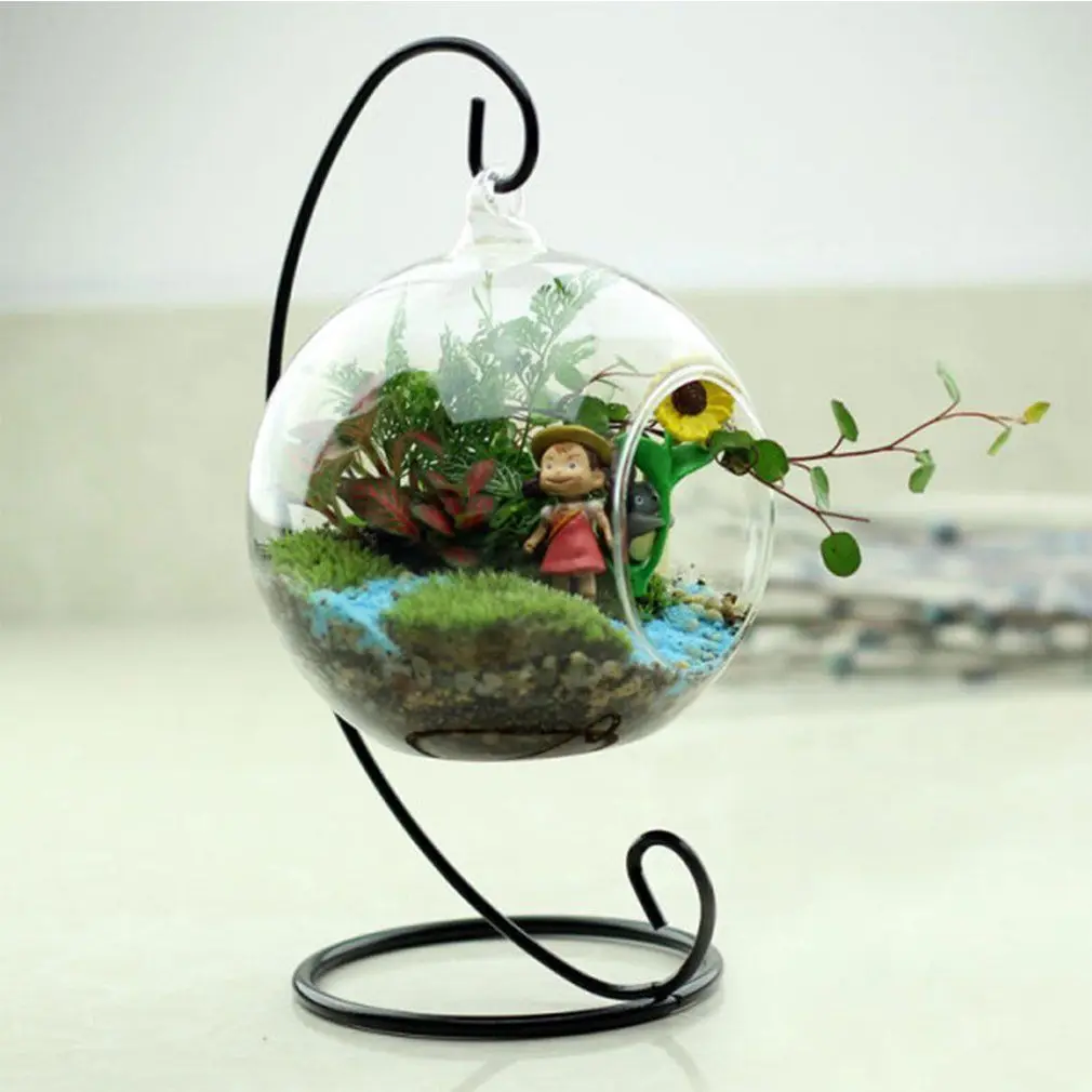 Kūrybos Namų Sode, Skaidraus Stiklo Gėlių Kabinti Vaza Sodinamoji Sultingi Augalų Microlandscape Stiklo Buteliai