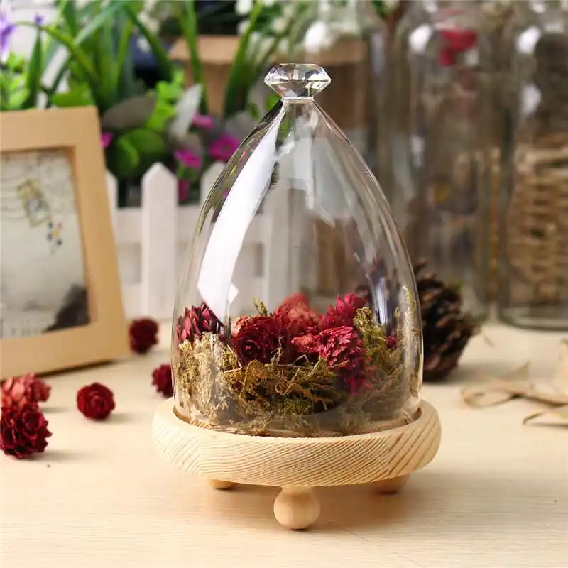 KiWarm Mados Stiklo Ekranas Cloche Bell Jar Dome Gėlių Nemirtingas Išsaugojimo Vaza Mediniais Namų Dekoro Ornamentu