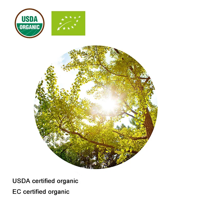 USDA ir EB Sertifikuotų ekologiškų Ginkgo Biloba Ekstraktas 20:1 gingko lapų flavonoidų