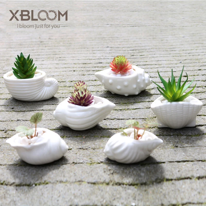 6 vienetų Viduržemio jūros shell myli vaza, vazonas baltas jūrų gyvūnų statula sultingas gėlių vazonas keramika namų vestuvių dovana