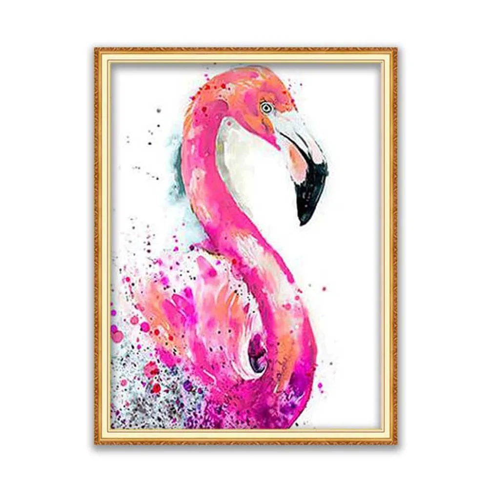 Gyvūnų, Paukščių Flamingo Pilnas Ekranas Aikštėje Turas 