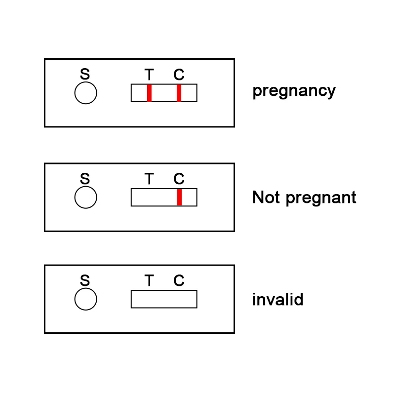 5 Vnt. Kiaulių Koloidinis Auksas Testas Knygoje Diržas Nėščioms Teste Pregnans Testas Nėštumo Nustatymo Sėti Piggery Ūkio Įranga