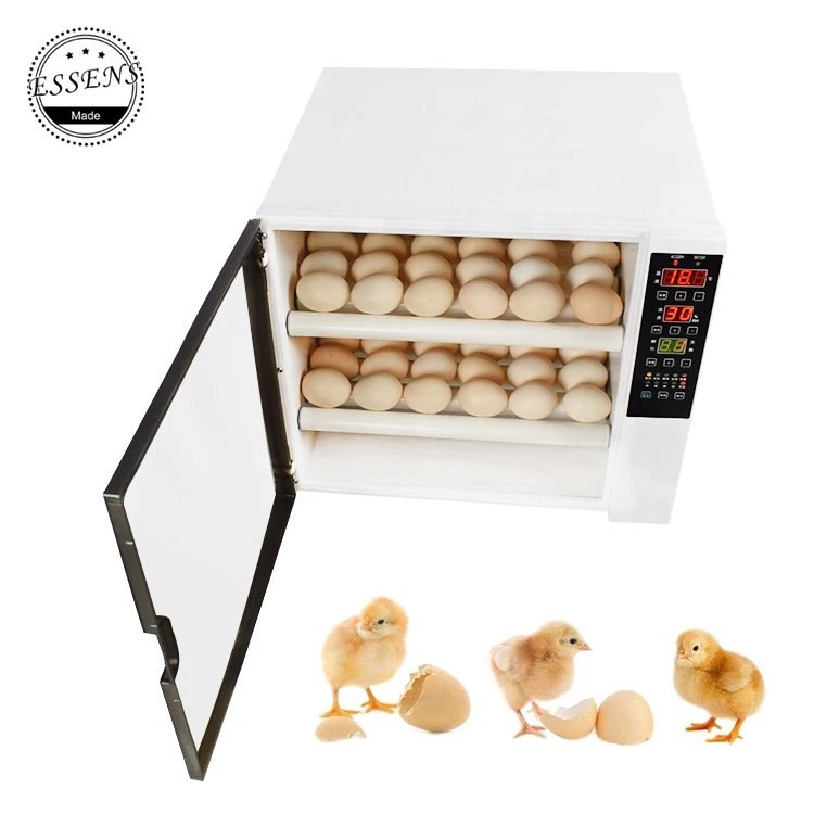 2019 Inkubatorius 60 Vištų kiaušiniai mini kiaušinių inkubatorius pilnai automatinis 220V &Dvigubos Įtampos (12V