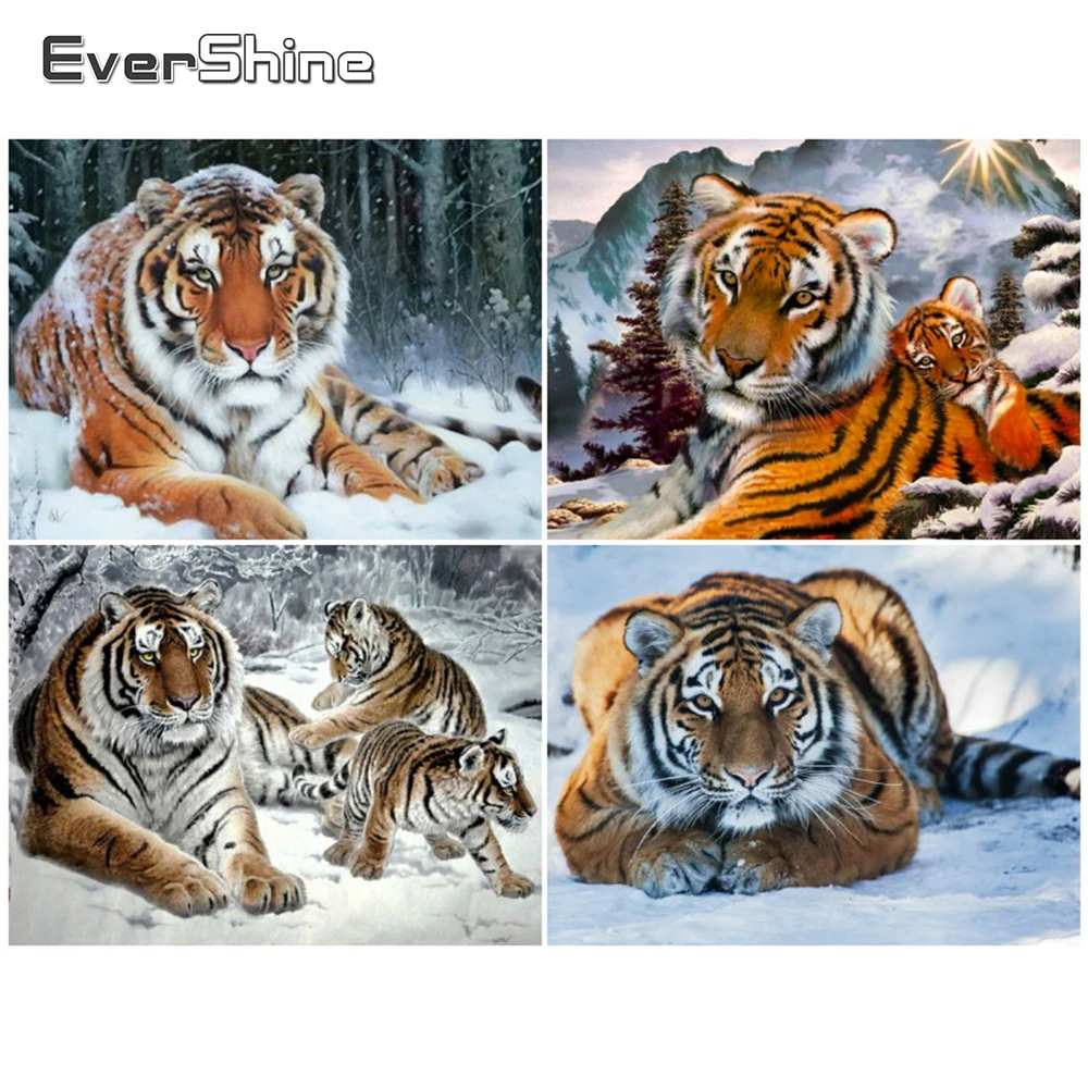 EverShine 5D 
