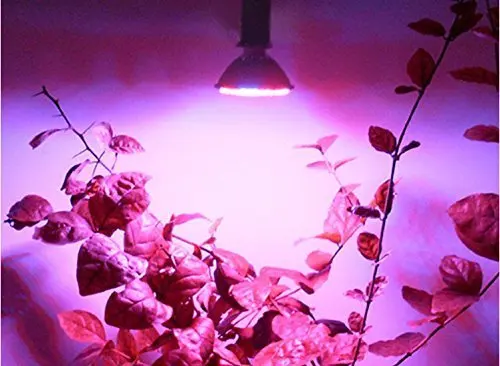 10vnt LED Augalų Auga Lemputės 10W Auginimo Lempa E27 Patalpų Hydroponic Vandens Sodas Šiltnamio efektą sukeliančių Medicinos Augalai, Daržovės, prieskoninės Žolės