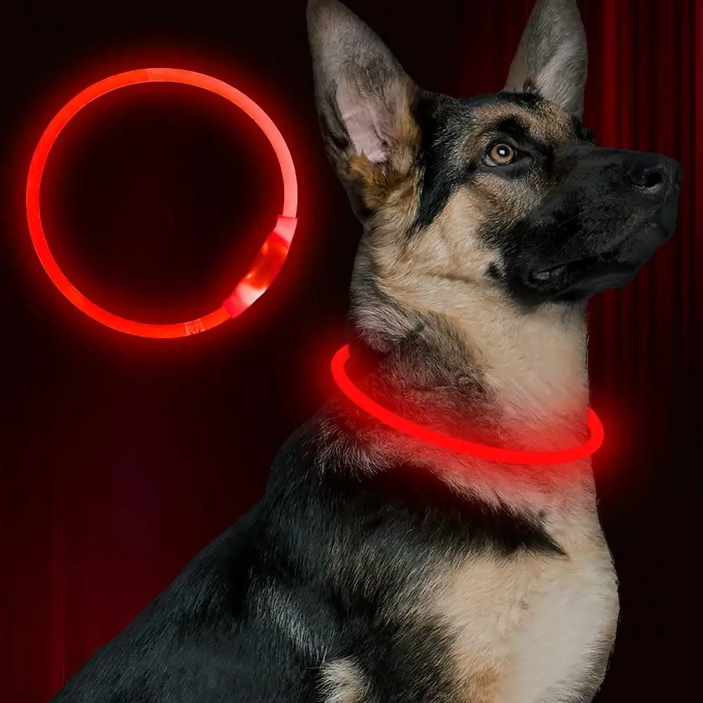 LED Naminių Šunų Antkaklis USB Įkrovimo Žėrintis Šviesos 3 Režimas Apšvietimo Įkrovimo Kačių Antkaklius, skirtus Mažas Vidutinis Didelis Pet products