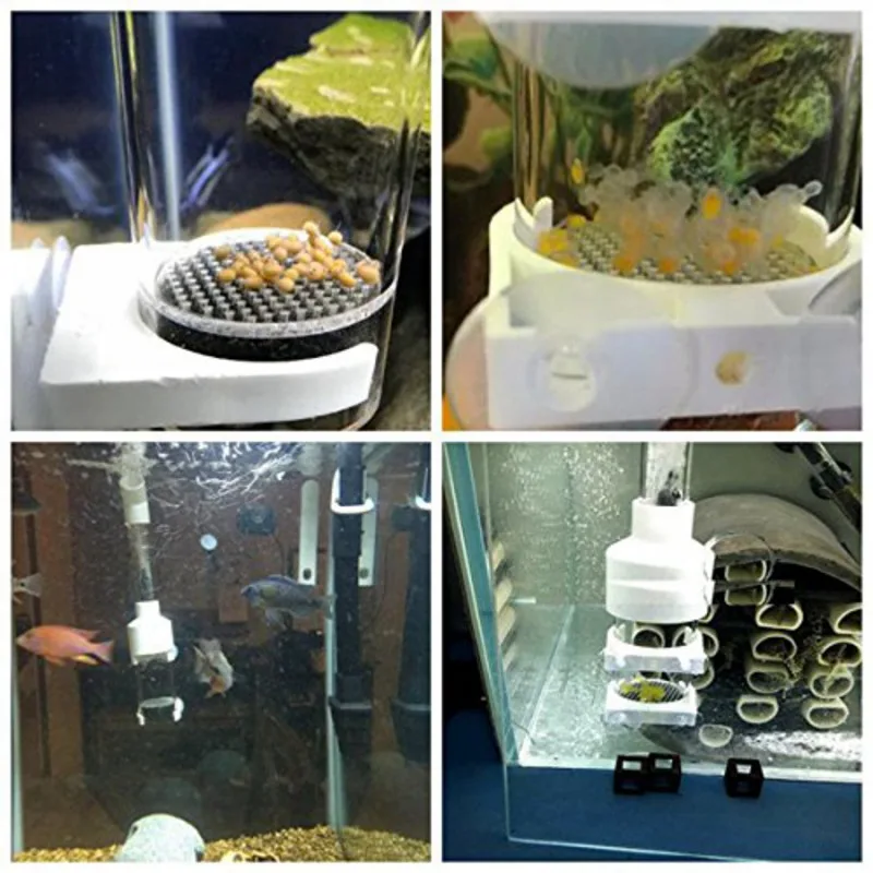 Akvariumas Patvarus, Žuvies, Kiaušinių Inkubatorius Masažuoklis Akvariumo Žuvų Auginimas Vietoj Burnos Veisėjas Žuvų Tankai