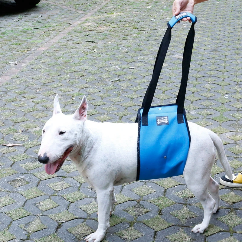 Senyvo Amžiaus Šuo Vaikščioti Papildomas Diržo Šuo Užpakalinių Galūnių Bendros Apsaugos Diržas Sužeisti Neįgaliesiems Dog Power Padėti Dirželis