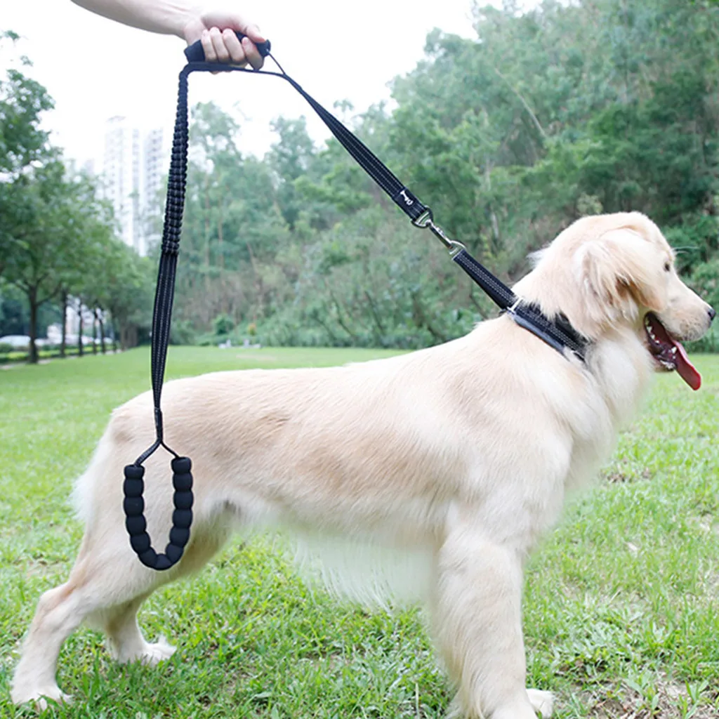 Ocardian šuo veda Stabdžių Traukti Mokymo Šunų pavadėlio Smūgį Absorbuojančiu Augintiniai Pavadėlio su 2 valdymo lynų šunų antkakliai lašas laivybos 2020 m.