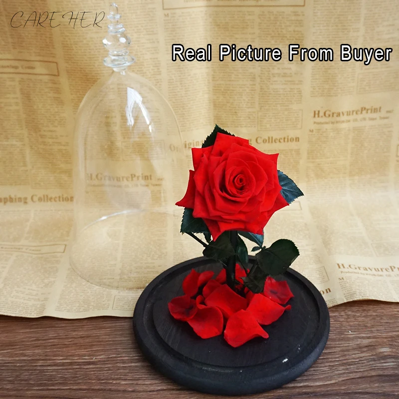 2020 naujausias forever rose stiklo grožio ir žvėrys raudona amžinąjį rožių žiedų moteris valentino romantiškas dovanas namų dekoro