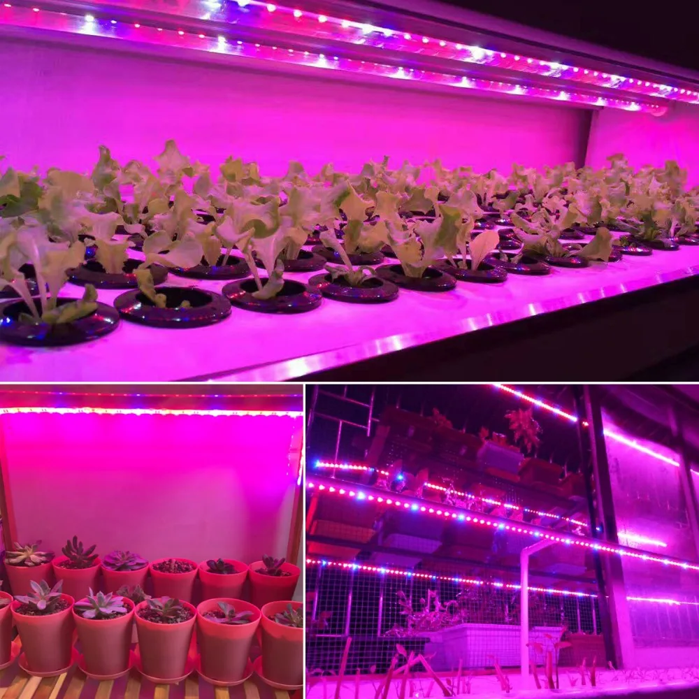 5M 5050SMD vandeniui LED Juostos šviesos Pilno Spektro Lanksti LED grow lempa juosta Patalpų Fito lempos efektą Sukeliančių augalų Augimo