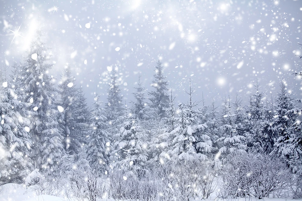 Žiemos sniego Miškų Fotografijos Backdrops Sušaldyti Medžių Snaigės Stebuklų Scenos Fone vaikams Kalėdų Portreto studija B144