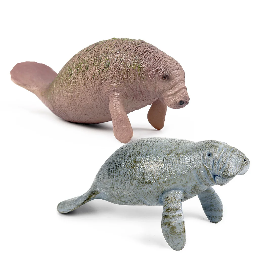 Manatee Gyvūnų Modelio Veiksmų Skaičius, Jūros Gyvūnų figūrėlių Kolekcija PVC Vaikų Pažinimo Žaislai