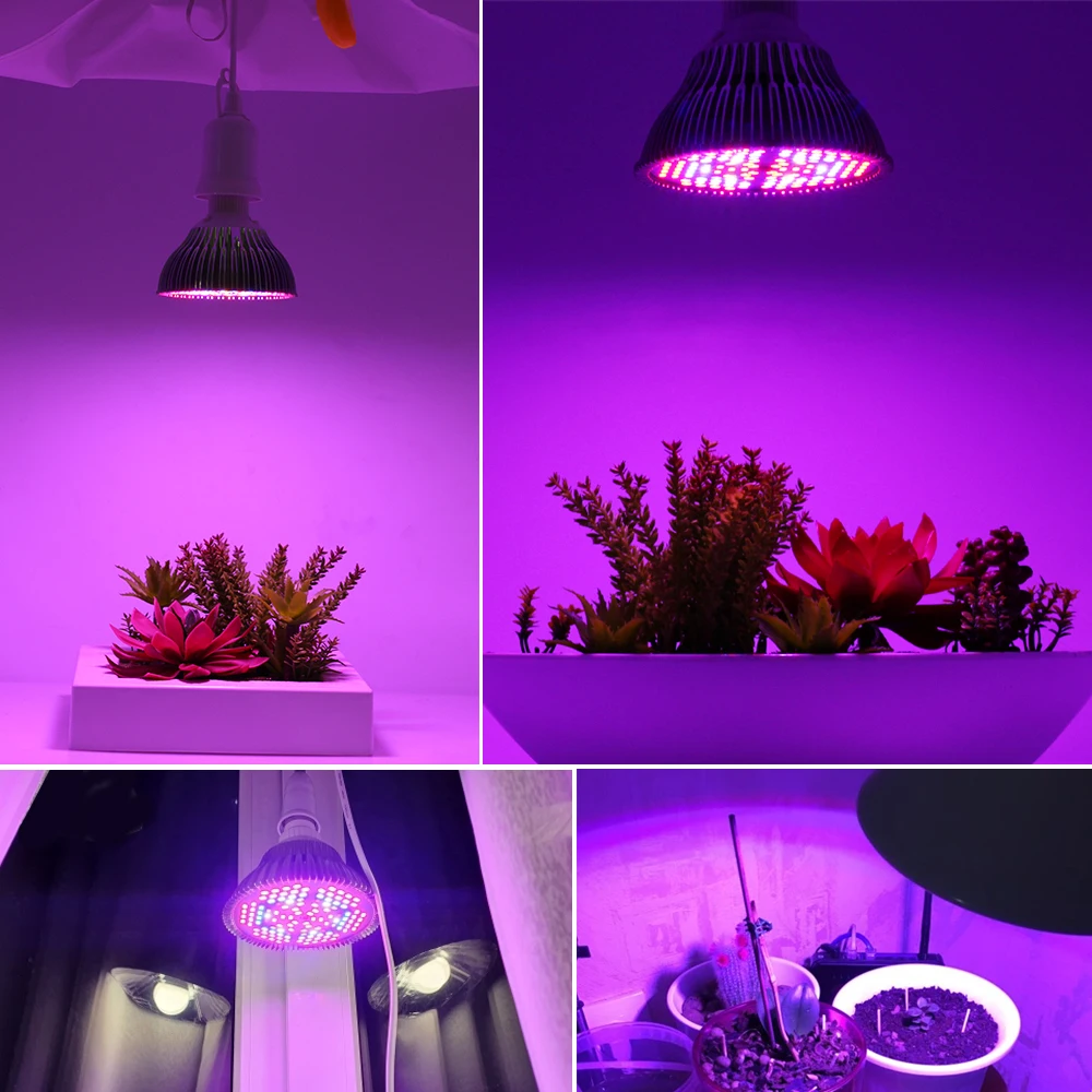 LED Grow Light Visą Spektrą 30W 50W 80W Mėlyna IR UV Phytolamp Lemputė 4M Įjunkite Laidą Su ES Kištukas Patalpų Augalų Daigai Auga