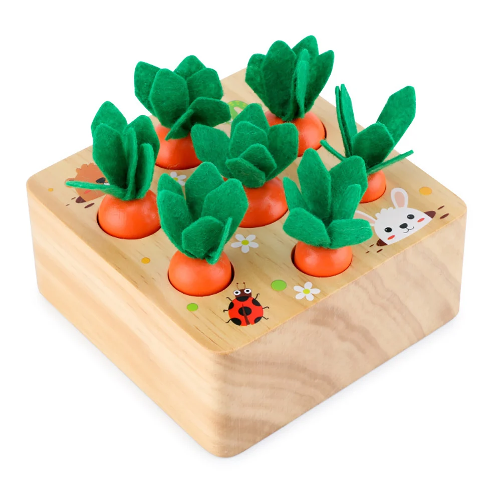 Medinis Žaislas Montessori Formos Dydis Rūšiavimo Įspūdį Morkų Spalvos Langelį Derliaus Ir Plėtros Geriausia Dovana Jūsų Vaikui