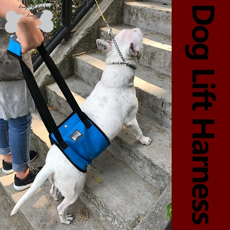 Senyvo Amžiaus Šuo Vaikščioti Papildomas Diržo Šuo Užpakalinių Galūnių Bendros Apsaugos Diržas Sužeisti Neįgaliesiems Dog Power Padėti Dirželis