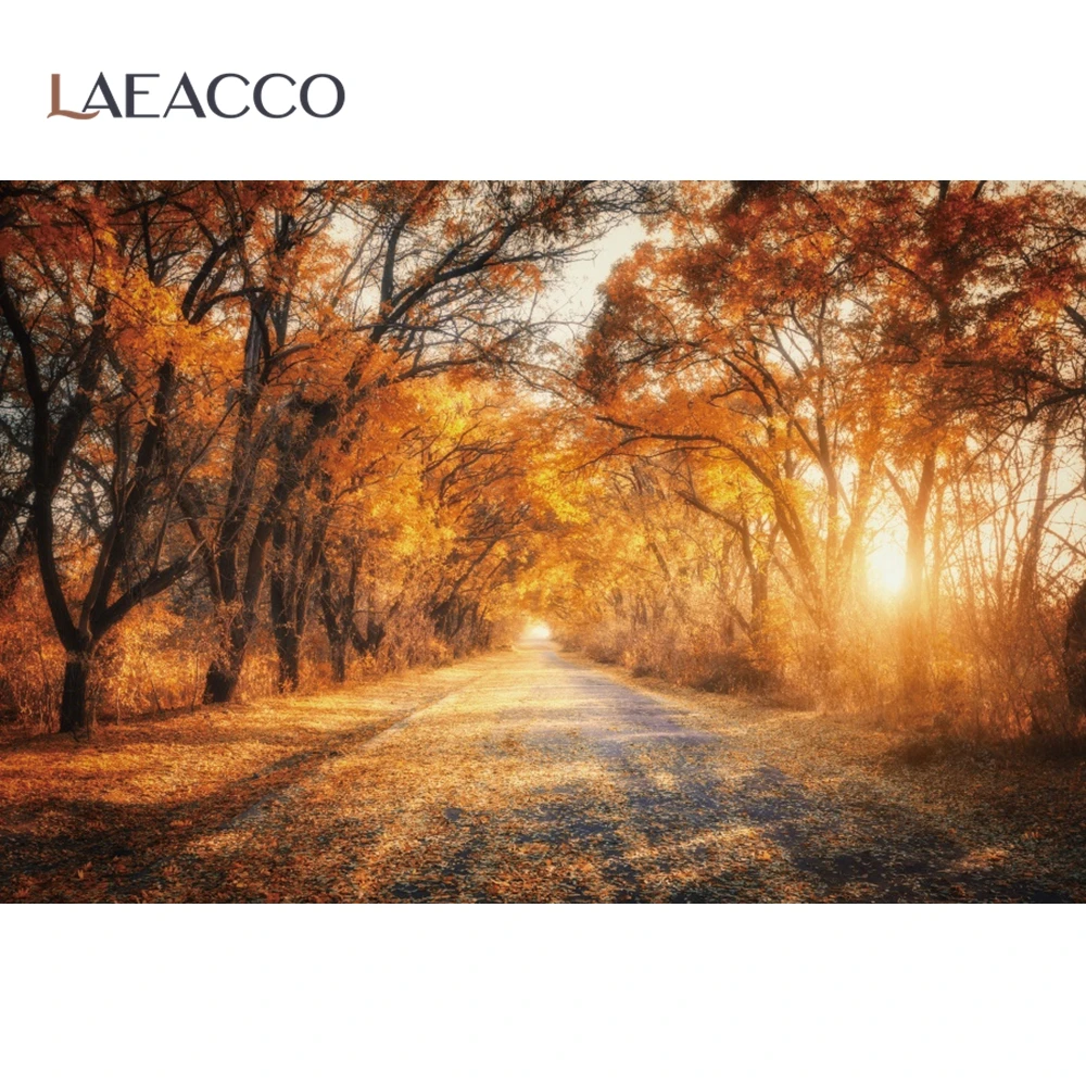 Laeacco Foto Backdrops Rudens Miško Kaimo Kelias Saulėlydis Gražus Vaizdingas Fotografijos Fonas Photocall Foto Studija