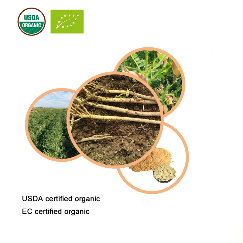 USDA ir EB Sertifikuotų ekologiškų astragalus šaknų ekstraktas 20:1 Astragaloside IV Astragalus polisacharidų