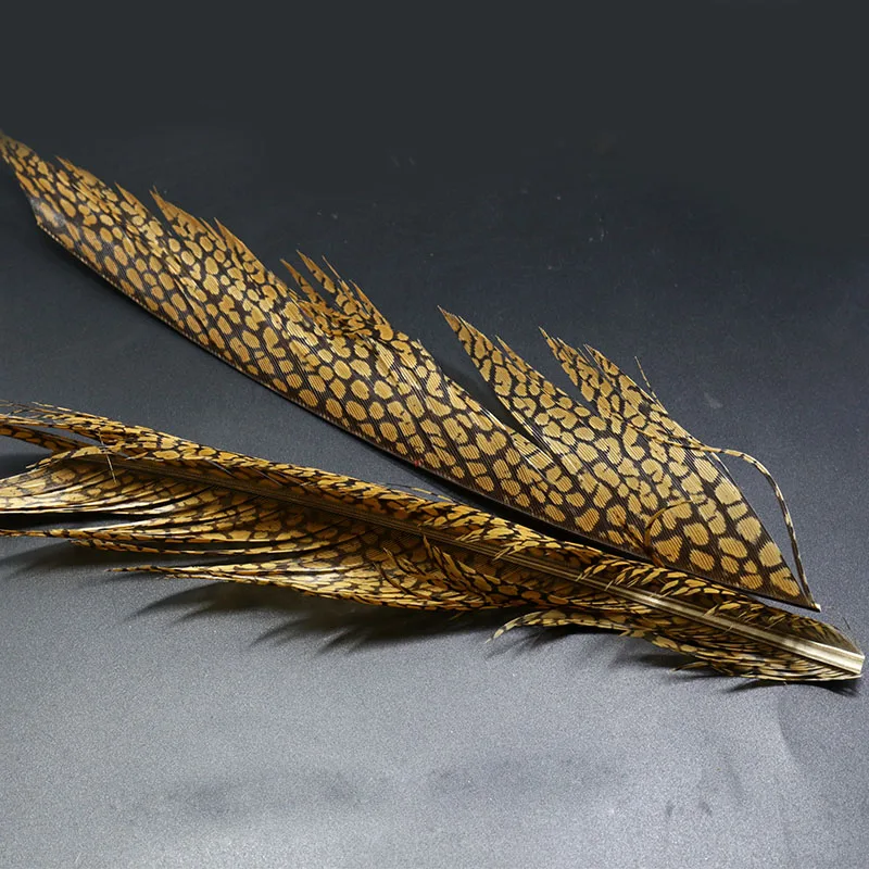 NAUJAS 1set gamtos auksinio fazano plunksnų mišinys Auksinio fazano galvos crest tippets¢er uodegos plunksnos skristi susiejimas plunksnų medžiaga