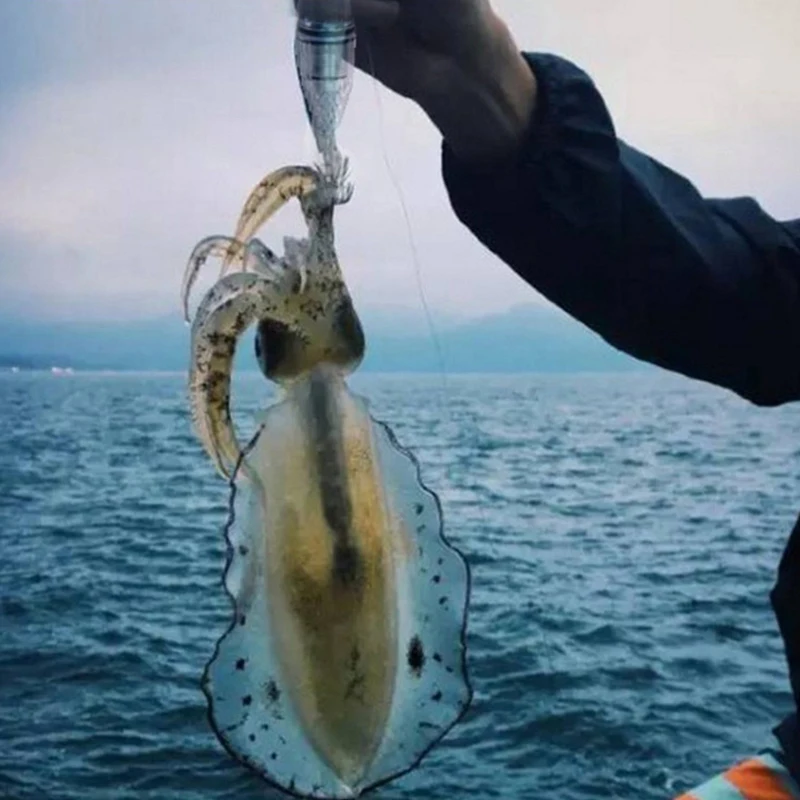 1pc 15cm 20cm Giliavandenis Squid LED Lempos Jig Suvilioti Skėtis Žuvų Ieškiklis Šviesos Jūros laivų Žvejybos Aštuonkojai Sepijos