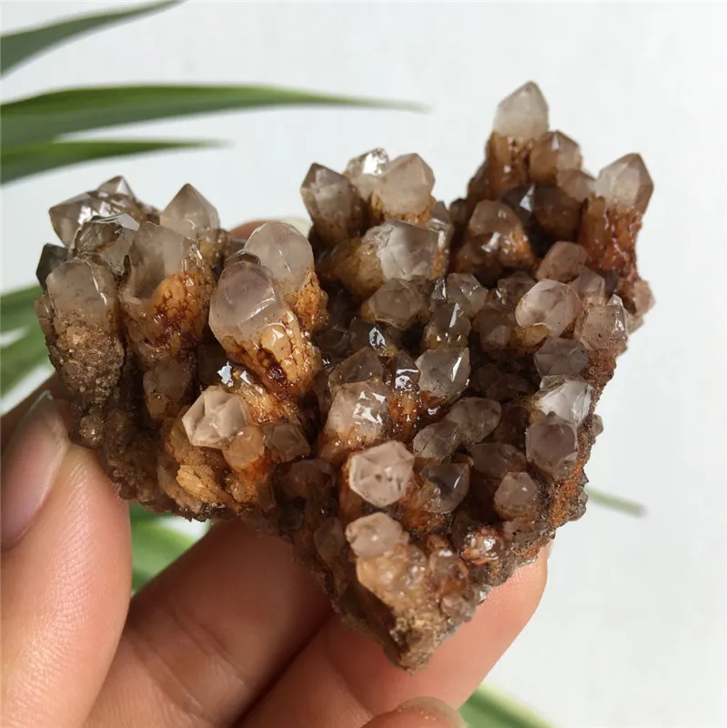 2vnt Aišku, Retas natūralus kristalinis kvarcas Ananasų grupių gėlių specimen90-100g