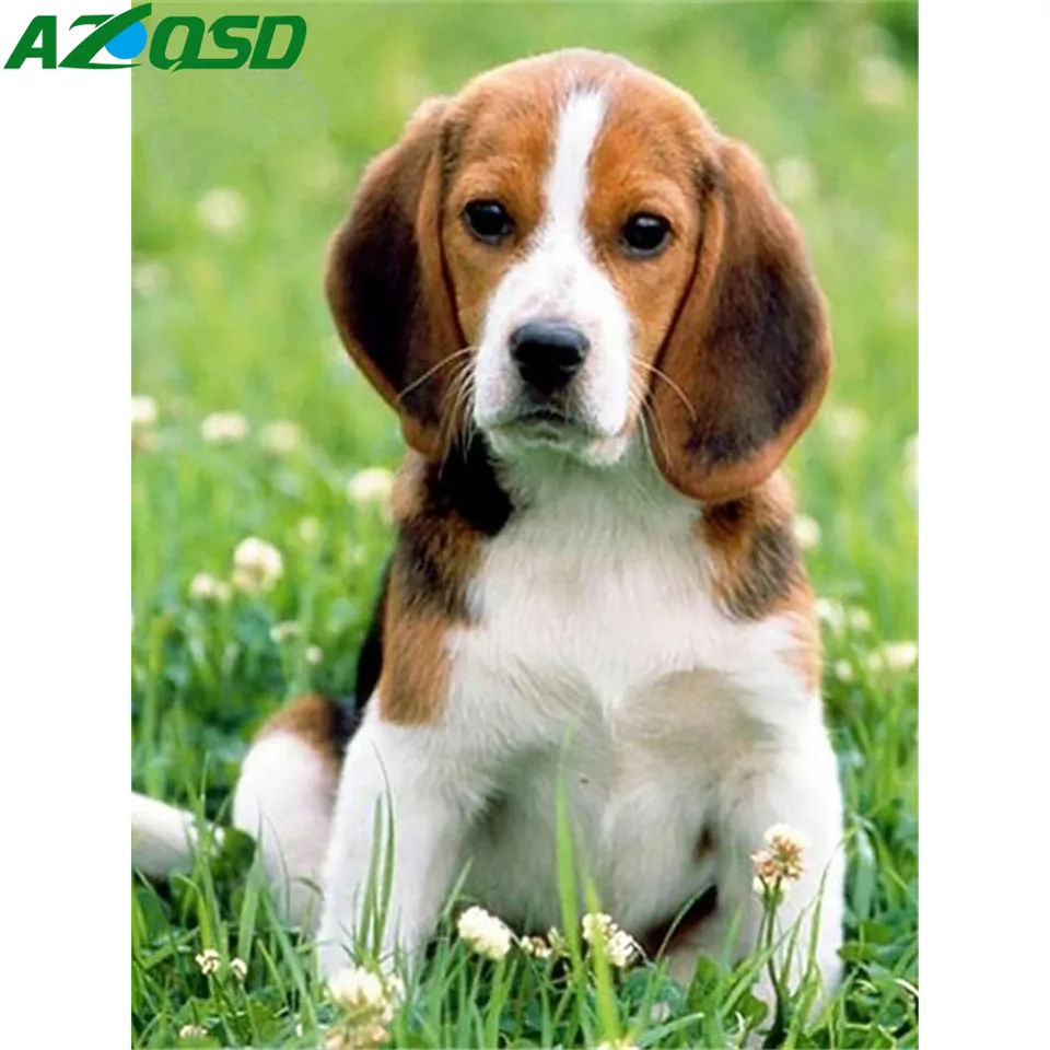 AZQSD Visiškai Rinkiniai Diamond Tapybos Gyvūnų Šunų Mozaikos 5D 