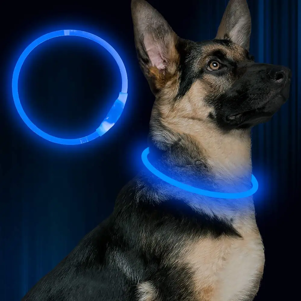 LED Naminių Šunų Antkaklis USB Įkrovimo Žėrintis Šviesos 3 Režimas Apšvietimo Įkrovimo Kačių Antkaklius, skirtus Mažas Vidutinis Didelis Pet products