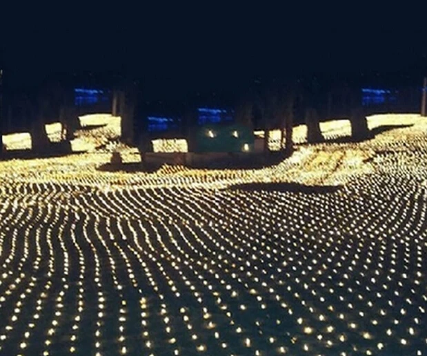 8M*10M Dideles Grynąsias Žibintai 2000 LED Akių Dekoratyvinis Pasakų Šmėžavimas Kalėdų, Vestuvių, Naujųjų Metų Šalis