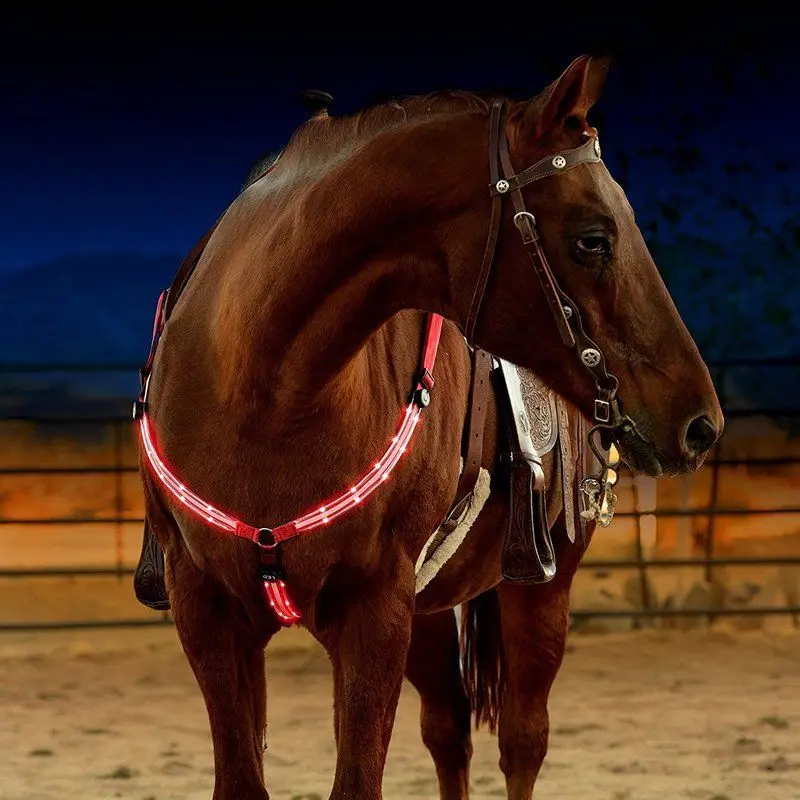 Dviguba LED Arklių Pakinktų Arklys Breastplate Nailono Diržas Naktį Matomos Jodinėjimas Žirgais papildomai Įrangai Žirgų Lenktynių Jojimo