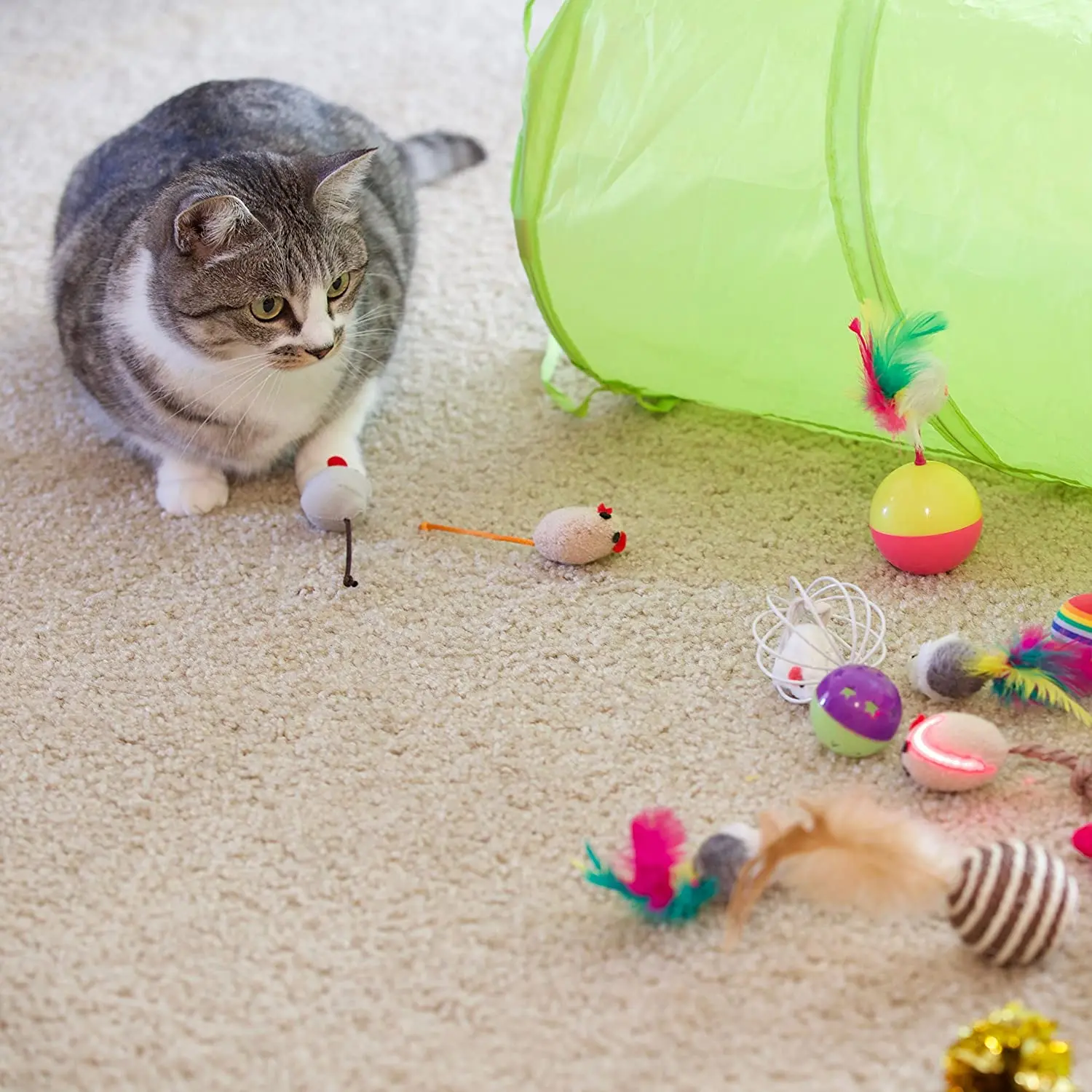 21Pcs Kačių Žaislų Rinkinys Išardomi Tunelio Katė žaislas Įdomus Kanalo Plunksnų Kamuoliukai Pelių Formos Naminių Kačiukų, Šunų Kačių Interaktyvių žaidimų Reikmenys